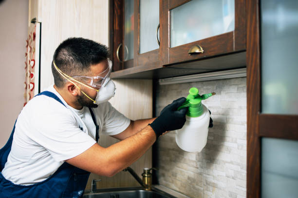 Best Best Pest Control Companies  in Rising Sun Lebanon, DE